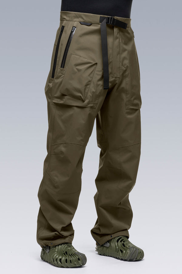 P43-GT 3L Gore-Tex Pro Pants - RAF Green